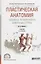 Пластическая анатомия человека, четвероногих животных и птиц 3-е изд., испр. и доп. Учебник для СПО — 2511381 — 1