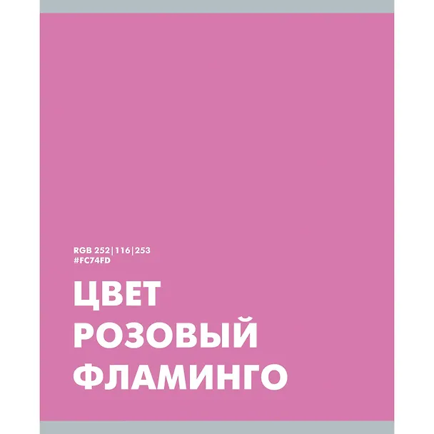 Тетрадь общая «Редкие цвета» в ассортименте, 48 листов в клетку, А5 - Listoff 3070087 — 4