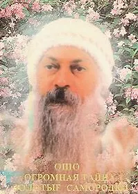 Книга Огромная тайна Золотые самородки (Ошо) (Ошо)