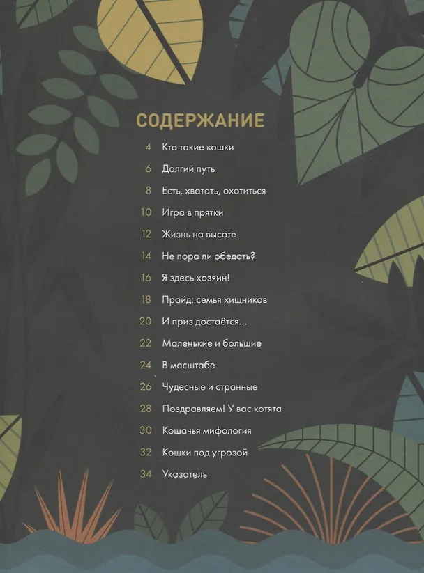Книга Без ума от кошек (Дэйви Оуэн) — 4