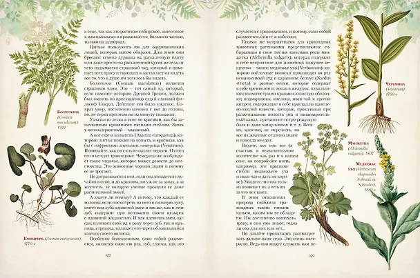 Книга Дары русского леса. Грибы, ягоды и целительные растения (Николай Золотницкий) — 10
