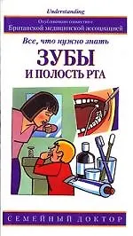 Зубы и полость рта: Все, что нужно знать
