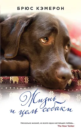 Книга Жизнь и цель собаки (Брюс Кэмерон)