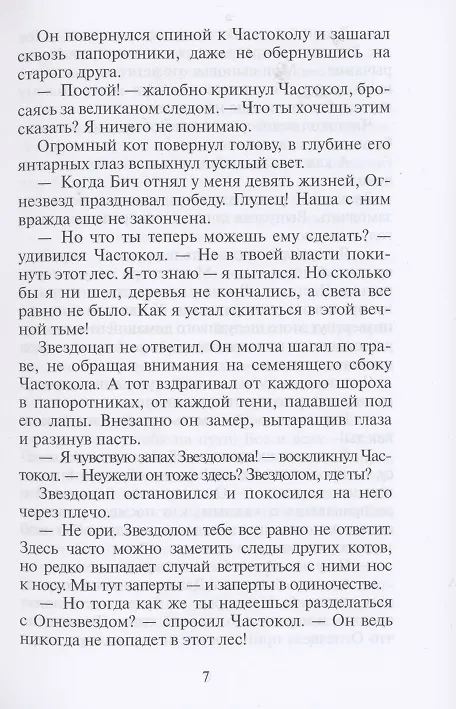 Книга Закат (Эрин Хантер) — 4