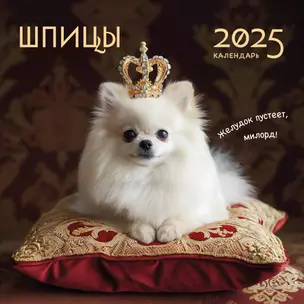 Календарь 2025г 300*300 "Шпицы" настенный, на скрепке — 3053235 — 1