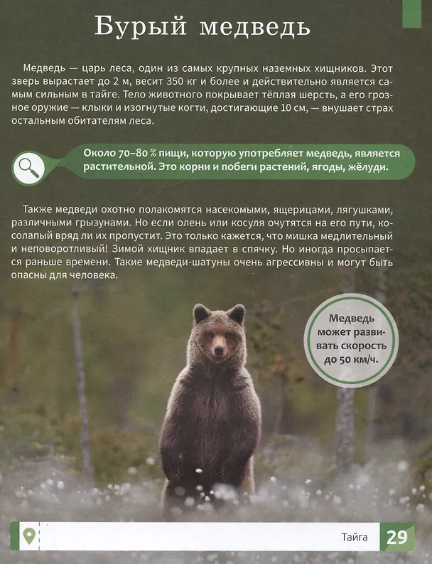 Книга Природа России: 1000 фактов. 100 изображений (Елена Ульева) — 5