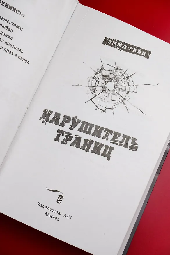 Книга Нарушитель границ (Эмма Райц) — 11