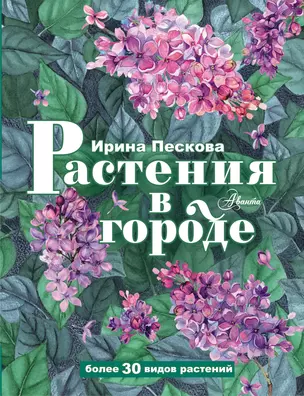 Растения в городе — 2999174 — 1