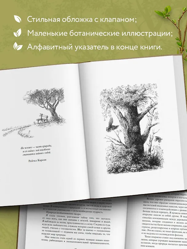 Книга Мудрость леса. В поисках материнского древа и таинственной связи всего живого (Сюзанна Симард) — 8