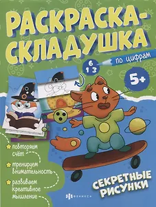 Раскраска-складушка. Секретные рисунки