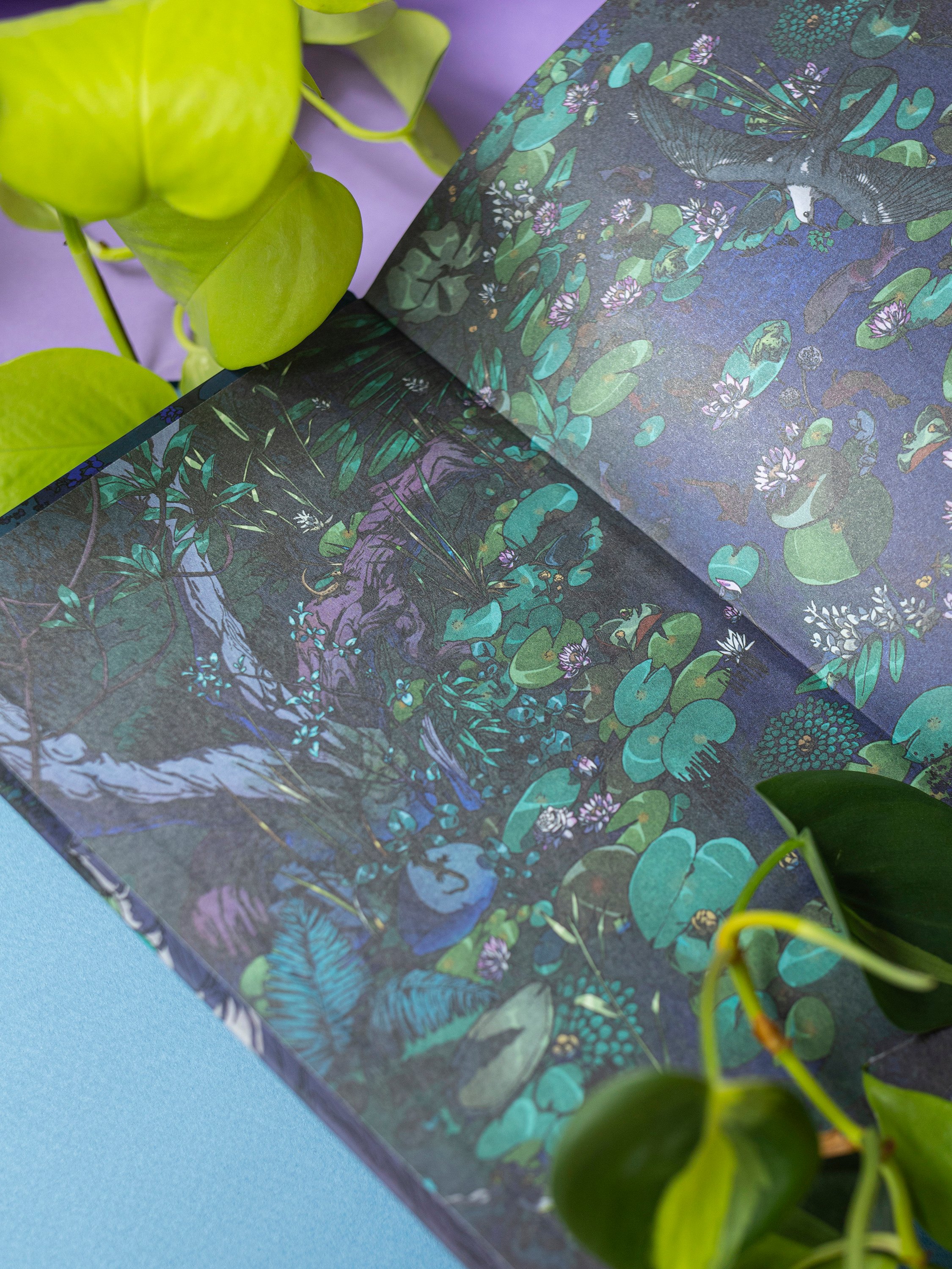 Изображение бумажной книги