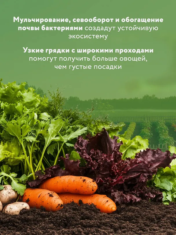 Книга Секреты дачных агрономов. Как перестать "пахать" и начать получать удовольствие от дачи (Вячеслав Днепров, Юлия Днепрова) — 7