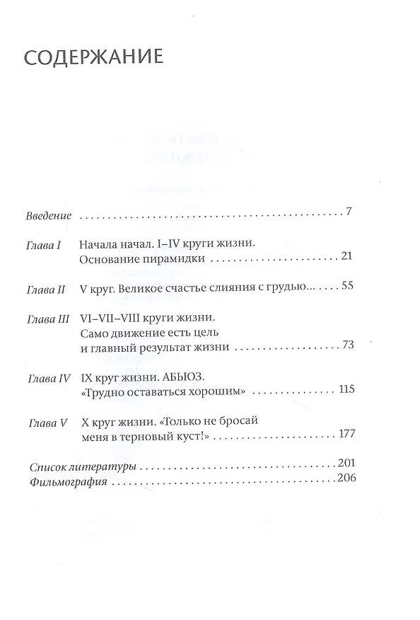 Книга Круги жизни (Олег Степанов) — 2