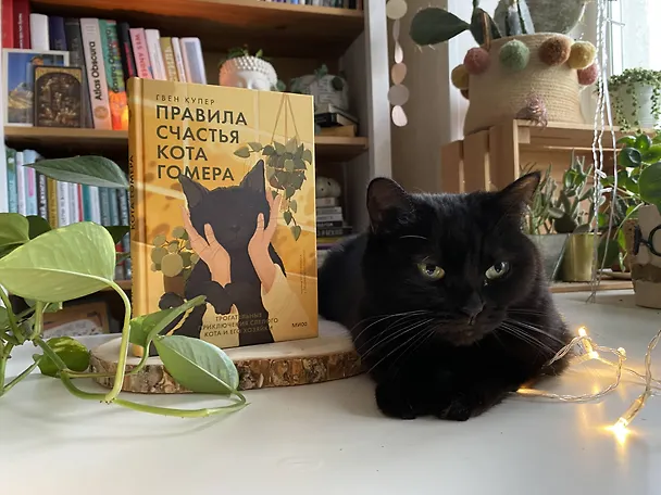 Книга Правила счастья кота Гомера. Трогательные приключения слепого кота и его хозяйки (Гвен Купер) — 5
