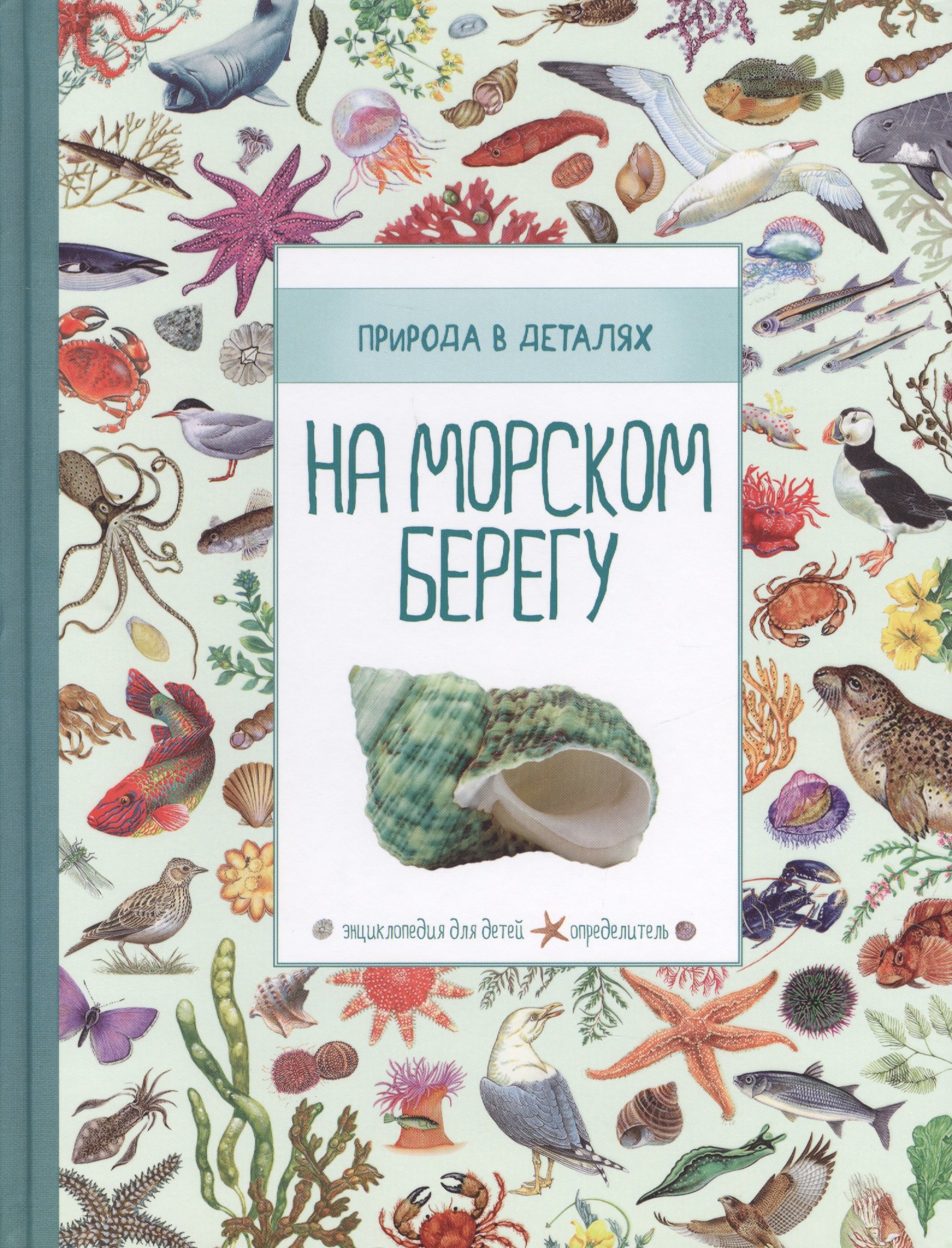 

На морском берегу. Природа в деталях