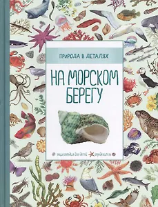 На морском берегу. Природа в деталях