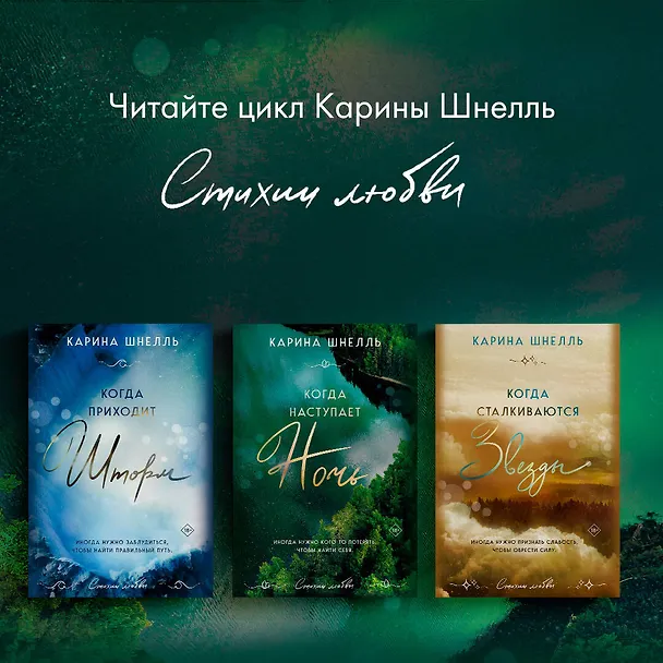 Книга Когда наступает ночь (Карина Шнелль) — 10