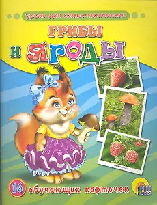 Грибы и ягоды: 16 обучающих карточек