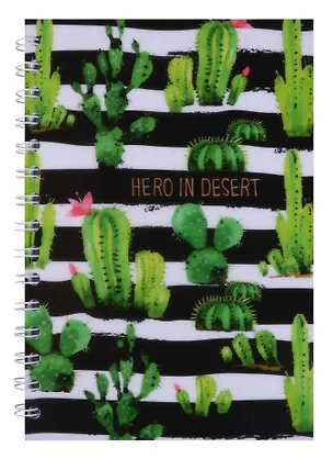 Тетрадь в клетку Hai Bin, Cactus, 96 листов, в ассортименте 245090