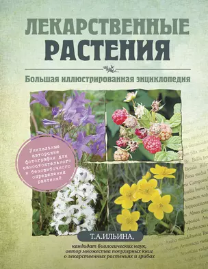 Лекарственные растения. Большая иллюстрированная энциклопедия — 2355816 — 1