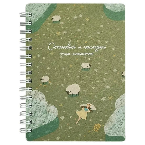 Записная книжка «Dreamer. Овечки» А6, 80 листов в клетку, спираль, Be Smart 3151078 — 1