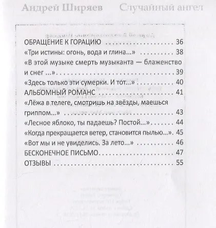 Книга Случайный ангел (Андрей Ширяев) — 3