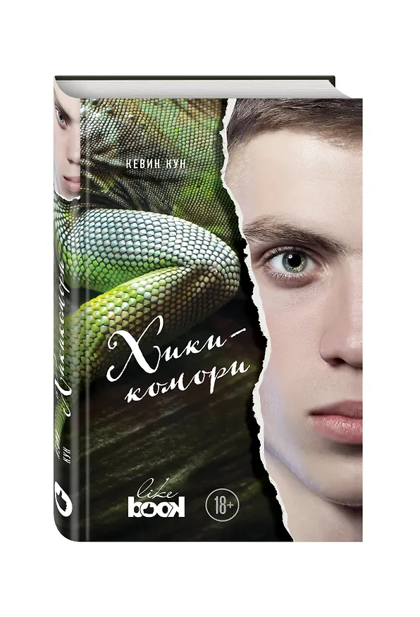 Книга Хикикомори (Кевин Кун) — 4