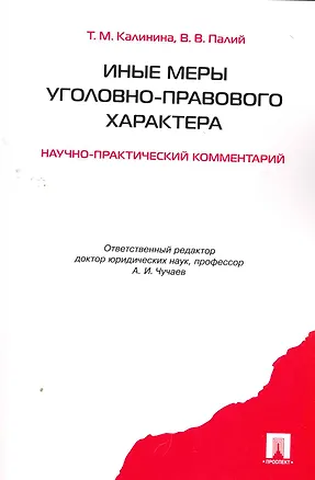 Книга Иные меры уголовно-правового характера: научно-практический комментарий ()