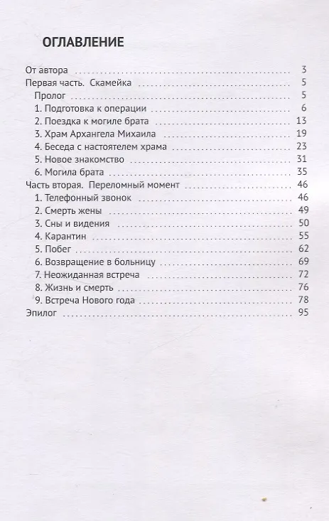 Книга Лестница в небо (Александр Черняк) — 3