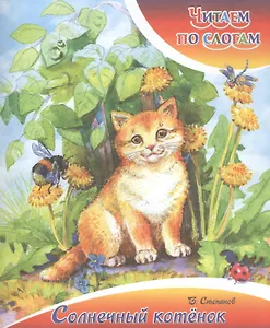 Солнечный котёнок