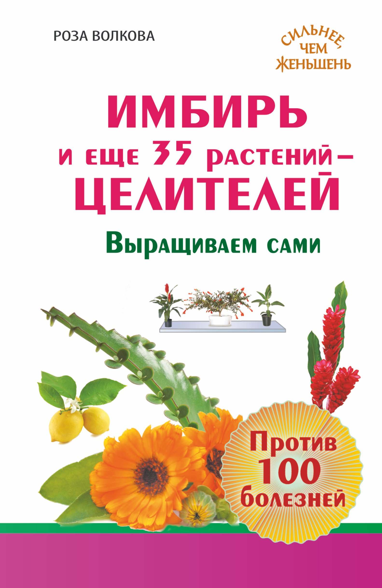 

ЕЗ:СильнееЧемЖеньшень(тв)Имбирь и еще 35 растений