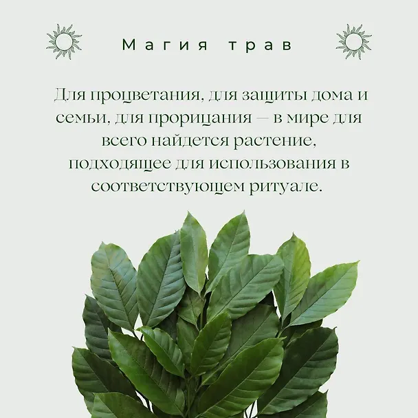 Книга Магия трав. Древние практики исцеления травами (Патти Вигингтон) — 13