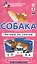 Собака. Читаем по слогам. Набор карточек. — 2381287 — 1