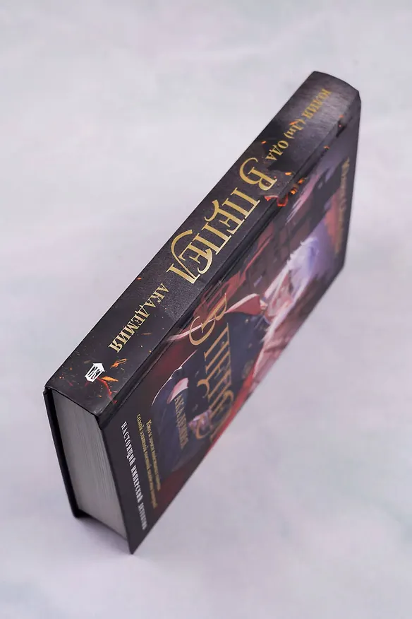 Книга В пепел. Академия (Юлия Ода) — 9