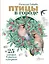 Птицы в городе. 25 историй в фактах и рисунках — 3141249 — 1