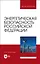 Энергетическая безопасность Российской Федерации. Учебное пособие для вузов — 2952232 — 1