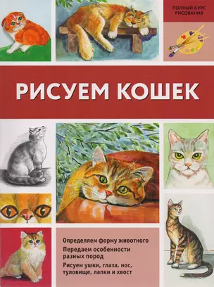 Рисуем кошек — 2594366 — 1