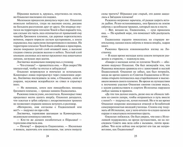 Книга Гроза и Тень (Эрин Хантер) — 15
