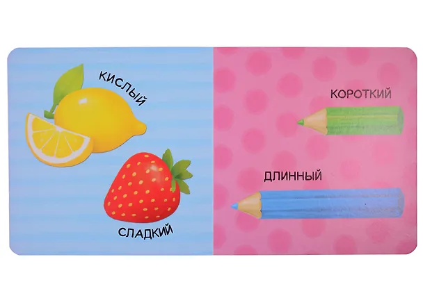 Книга Набор картонных книг "Обучающие": Азбука. Большой и маленький. Такой разный транспорт. Изучаем цвета (комплект из 4 книг) () — 3