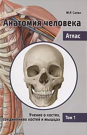 Анатомия человека. Атлас. В 3 т. Т. 1: Учение о костях, соединениях костей и мышцах: Учебное пособие — 2747307 — 1