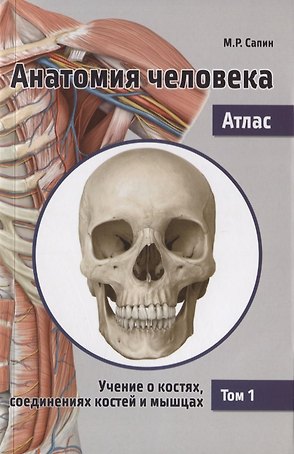 Анатомия человека. Атлас. В 3 т. Т. 1: Учение о костях, соединениях костей и мышцах: Учебное пособие