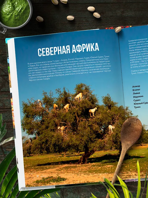 Книга Кулинарная география. 90 лучших семейных ужинов со всех концов света (Ирина Чадеева) — 13