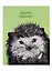 Дневник школьный Феникс+, "Рисованный ёжик" — 254675 — 1