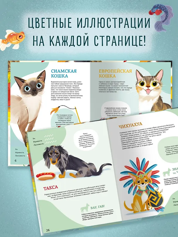 Книга Все-все-все домашние питомцы (Алтея Вилла) — 6