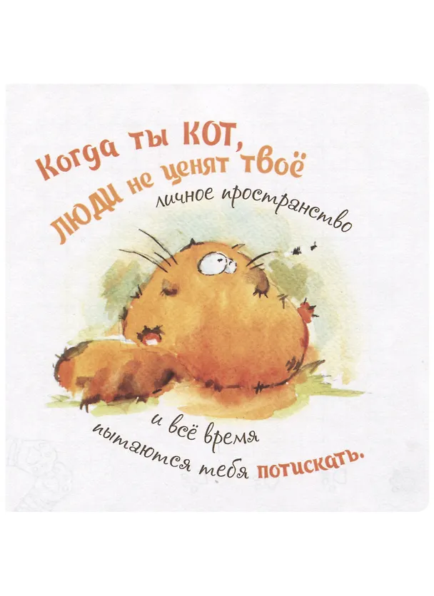 Записная книжка «Когда ты кот…» А6, 32 листа в клетку, Контэнт, в ассортименте 2937658 — 3