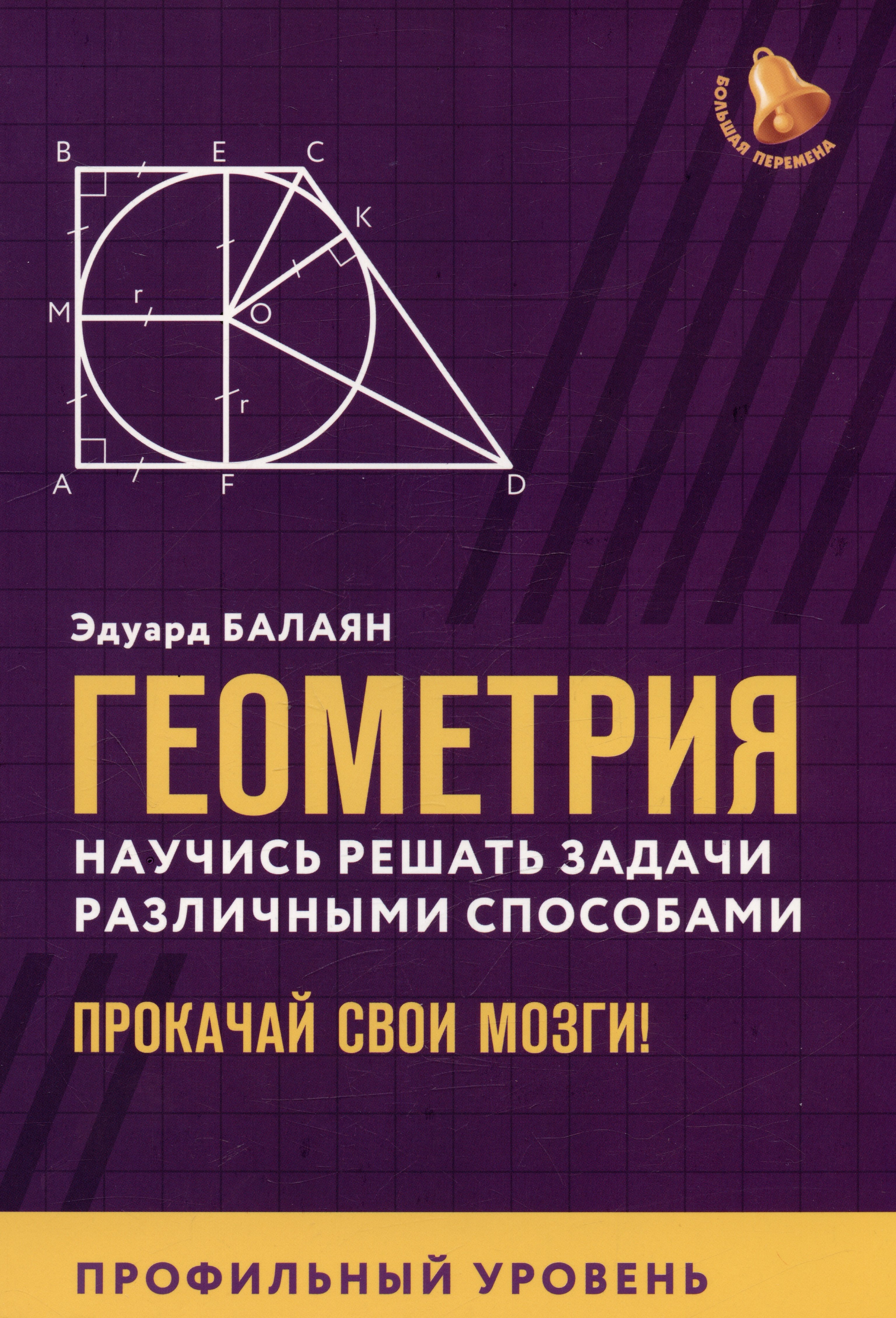 

Геометрия. Научись решать задачи различными способами. Прокачай свои мозги! Профильный уровень