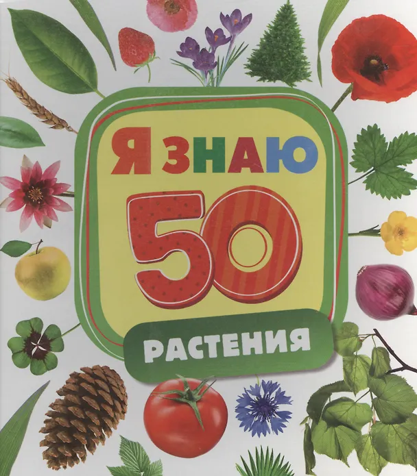 Книга Растения (Татьяна Беляева, Т. Беляева) — 1