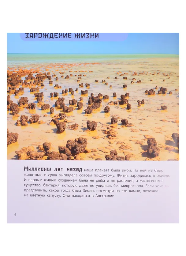 Книга От динозавра до компьютера. История нашего мира (Мак Ван Гагельдонк) — 3