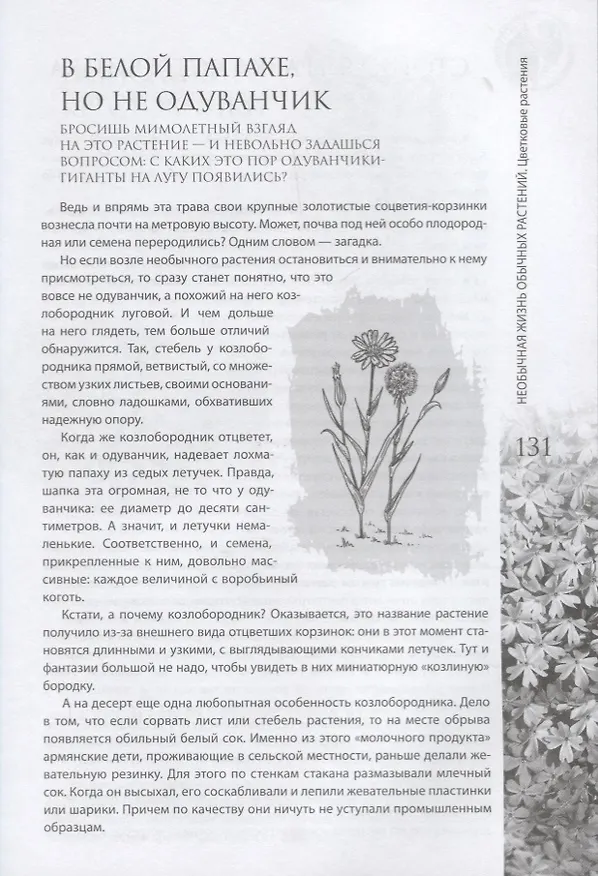 Книга Необычная жизнь обычных растений () — 8