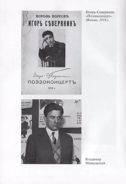 Книга Северянин. (Вячеслав Бондаренко, Владимир Бондаренко) — 4
